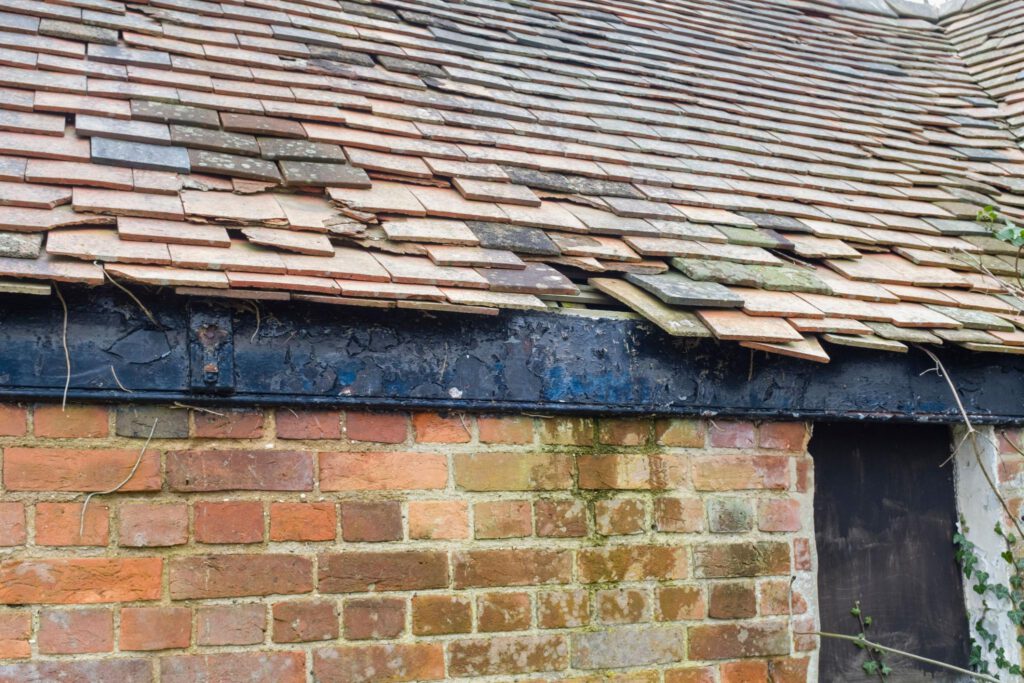 New Roof 4