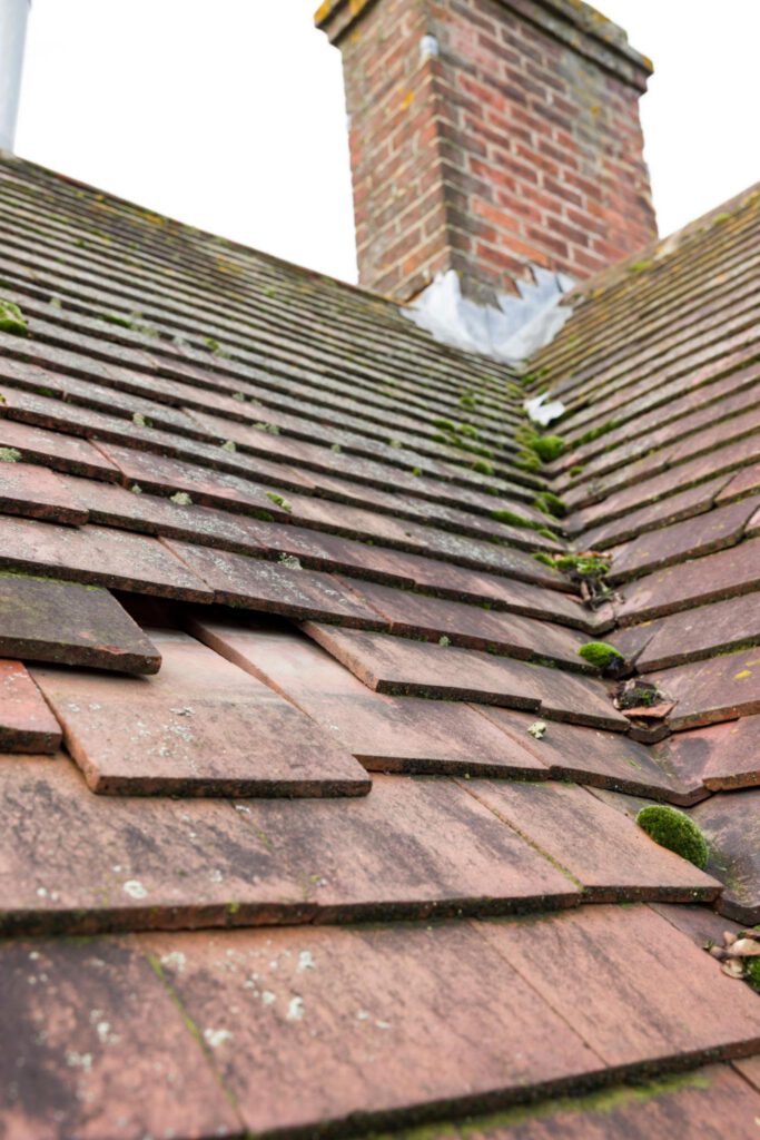 Roof Repair 2